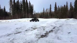 Arctic cat wildcat 1000