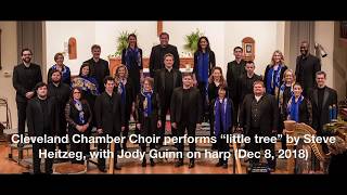 Cleveland Chamber Choir: "Little Tree" by Steve Heitzeg