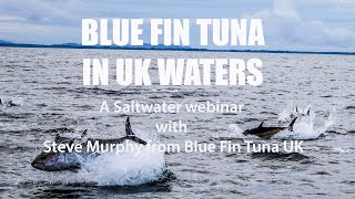 Webinar: ​ Blue Fin Tuna in UK waters