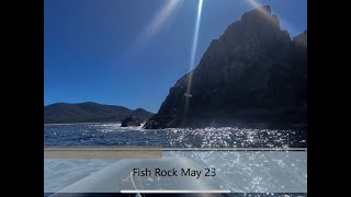 Diving Fish Rock May 2023