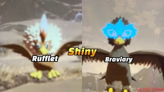 Evolving my shiny Rufflet into shiny Braviary (Pokémon legends Arceus)