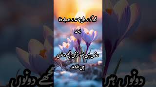 Urdu shayary | مجھ کو نہ دل پسند نہ وہ بے وفا پسنددونوں ہیں خود غرض مجھے دونوں ہیں نا پسند