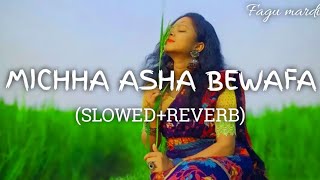 Michha Asha Bewafa (Slowed+reverb) New Santali Song #santalisong #newsong #sadsong #viral #video