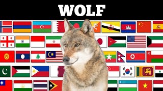 WOLF in different languages with Voice