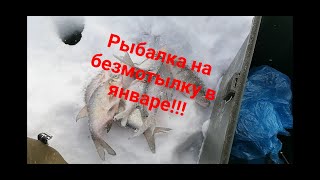 Рыбалка на безмотылку в январе! Трудовая рыбалка!!!!