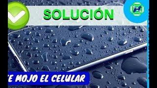 ✔ ¡Solución! 📱 Que Hacer Si Se Moja El Celular -  Accidente Tablet Movil Agua Servicio Tecnico