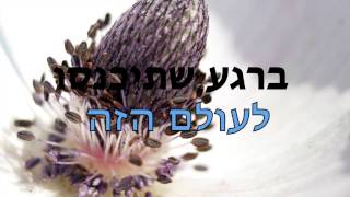 גיל נחושתן