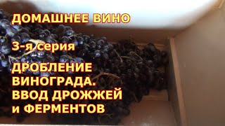 3 я серия. Домашнее виноделие.  ДРОБЛЕНИЕ винограда. ВВОД ДРОЖЖЕЙ и ФЕРМЕНТОВ