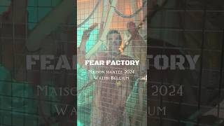 On a osé explorer Fear Factory, la nouvelle maison hantée de Walibi Belgium ! #Ibilaw