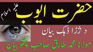 Prophet Ayoub A S   | Pashto Bayan Molana Tariq Sahib | The Patience Of Hazrat Ayyub Job AS Part 1