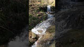 Savurati clipe unice de relaxare explorand Rapa Coasta Neteda din Muntii Rodnei.