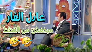 انتي فاهمة اني بخاف من القطط 😂😂 | دايت النجوم