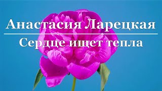 Анастасия Ларецкая - Сердце ищет тепла