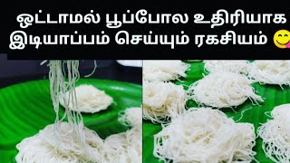 Soft idiyappam recipe in Tamil / 5 நிமிடம் போதும் சாப்டான இடியாப்பம் ரெடி  /perfect consistency