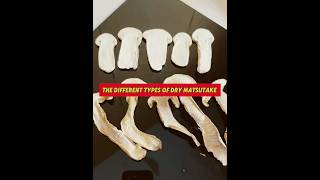 2 Types of Dry Matsutake Mushrooms #mushroom #matsutake