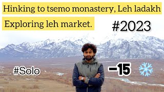 "Trekking to Tsemo Monastery and Exploring Leh's Market "