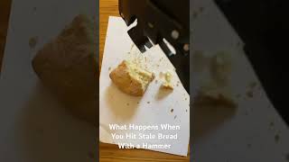 What Happens If You Hit Stale Bread With a Hammer?