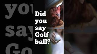 Golf ball magic to get Eggs #chicken #homestead #tipsandtricks #nestingbox #golfball #egg #diy