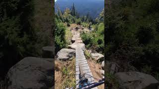 Bridge & rockgarden = stone enduro #mtb #enduro #bikepark #insta360go3 #transitionbikes #sentinelv2