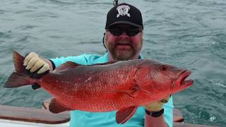 SNAPPER FISHING IN PANAMA