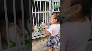 Gendis ngasih makan kelinci kesayangan #shorts #bali #shortsvideo