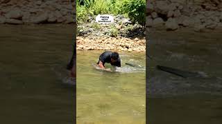 Fishing skills traditional..!! Nelayan aceh berburu ikan semah di sungai #netsfishing #fishermanaceh