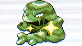 [ISHC #7] LIVE! Shiny 5% Muk after 2,198 REs on Gold Virtual Console! (Phase 6)