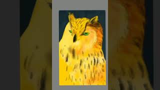 Painting a golden owl in Autodesk Sketchbook (no sound)