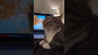 MY CAT REACTS TO SABRINA CARPENTER ESPRESSO 😺 #shorts #espresso #sabrinacarpenter