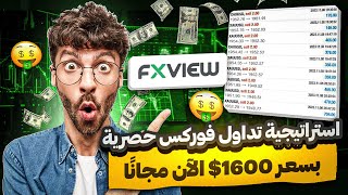 حققت 1000 دولار في أسبوع واحد باستخدام هذه الاستراتيجية 🔥