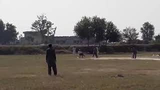 Cricket Karnana vs Dhal