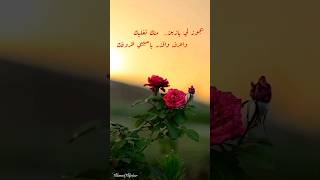 تغلا ياسيد الغنادير واغليك - حالة واتس - محمد عبده #فنان العرب