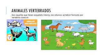 ANIMALES VERTEBRADOS E INVERTEBRADOS