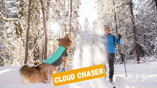 Veste pour chien Ruffwear Cloud Chaser