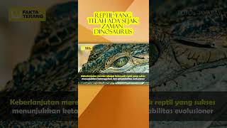 REPTIL YANG TELAH ADA SEJAK ZAMAN DINOSAURUS #reptil #buaya #dinosaurus #purba #shorts