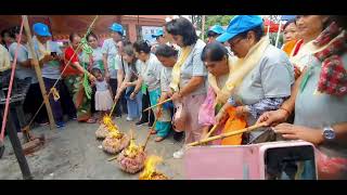 Seas of Trees in Nepal 2023