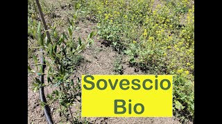 Sovescio Bio