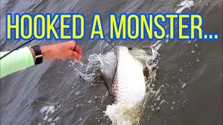 Fishing with lures, Hooked a Tarpon on a Twitch Bait