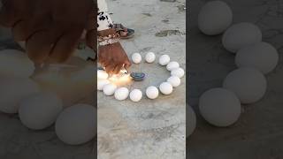 चकरी को अंडे से पका दिया | Top Awesome diwali Experiment #trendingshorts​#experiment #shorts #viral