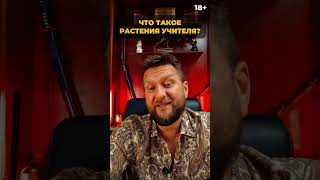 ЧТО ТАКОЕ РАСТЕНИЯ УЧИТЕЛЯ? | ПАВЕЛ ДМИТРИЕВ