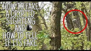 How to 'FAKE' a cryptid sighting | I Talk Cryptids