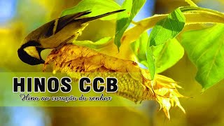 Hinos CCB 2020 - Hinos Que Carregam A Voz Do Senhor - Hinos CCb De Fevereiro