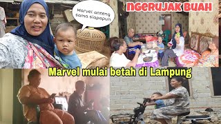 ngerujak buah rame-rame di temani siwo salembrot Bajidot ⁉️ Mbak iti vlog