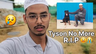 Tyson No More R.I.P 😭😱