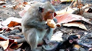 Sad story !Little baby SOFIA felling down from mom -when Mom busy eating food no care for child pity