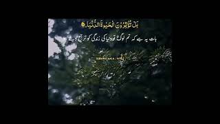 Surah AL Ala with Urdu translation | Quran tilawat | Quran Urdu hindi Tarjuma #youtubeshorts