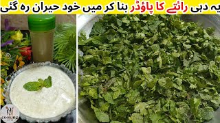 Raita Powder Recipe By Cooking With NJ | Pudina Raita Powder