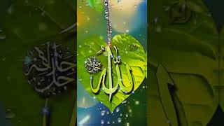 Mujhe Saabir Se Hai Nisbat  ||Chand Afzaal Qadri#Ahlla #Islamic #Qawwalistatus #Sohrts