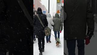 WINTER is back in Finland!🌨️💨🚶🏾‍♀️#takatalvi #lumimyrsky #snowfall #snowstorm #blizzard