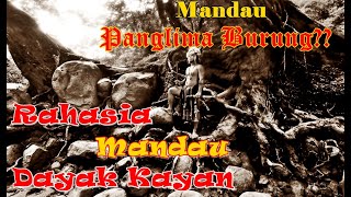 BORNEO: "EKSOTISME MANDAU DAYAK KAYAN - MAHULU" PART 1